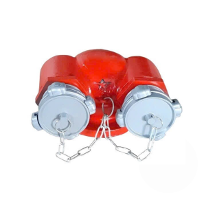 HỌNG TIẾP NƯỚC